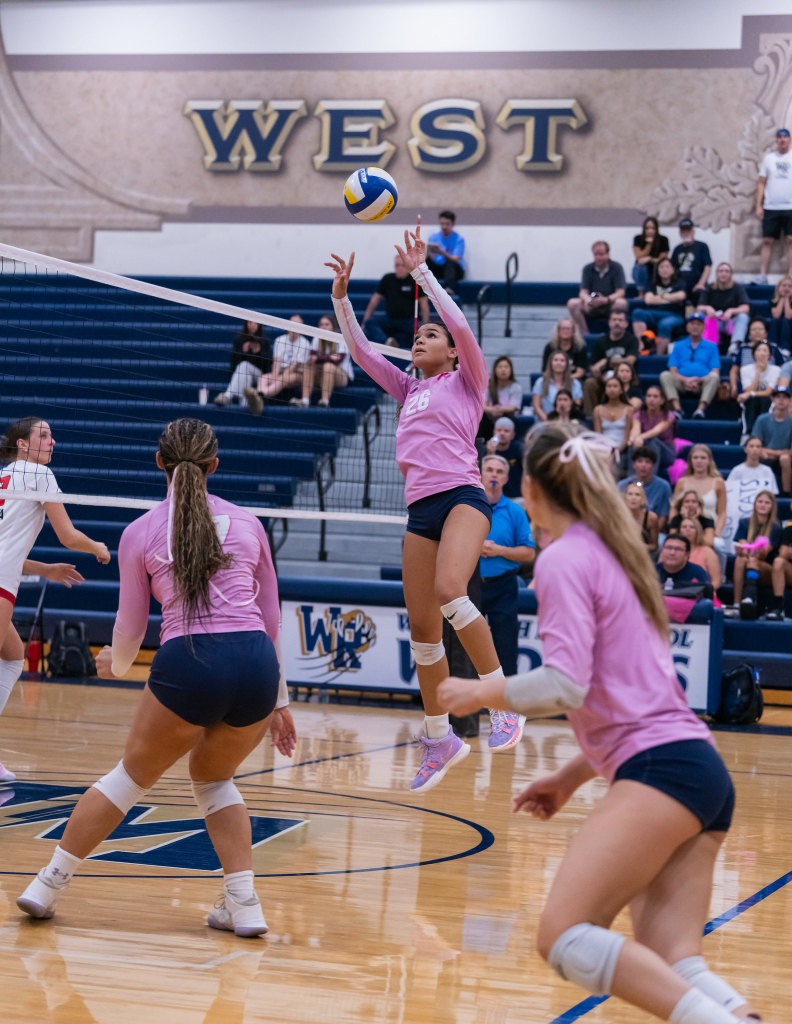 Top California Prospect Setter