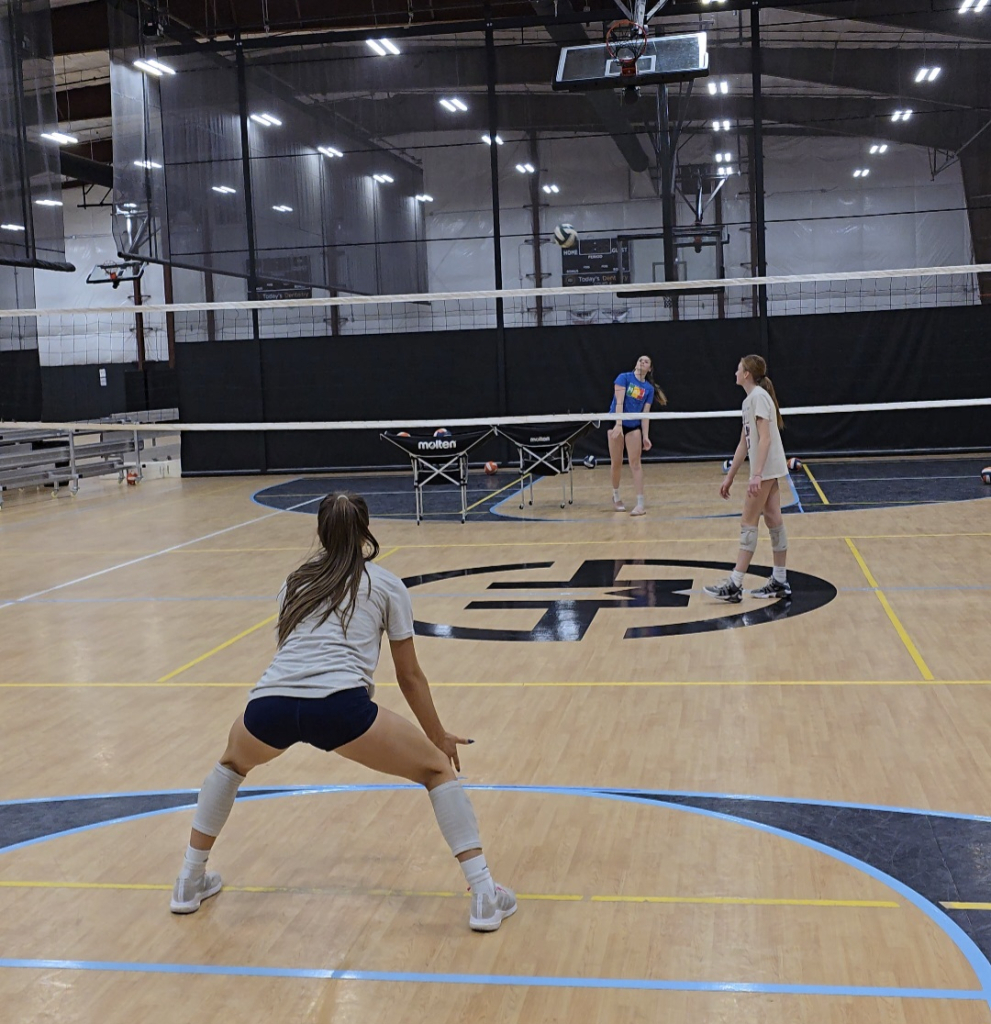 Little Bower Libero